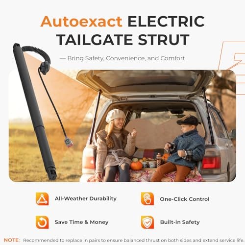 Power Liftgate Struts Fit for 2015-2020 For 2015-2020 TAHOE/SUBURBAN etc.