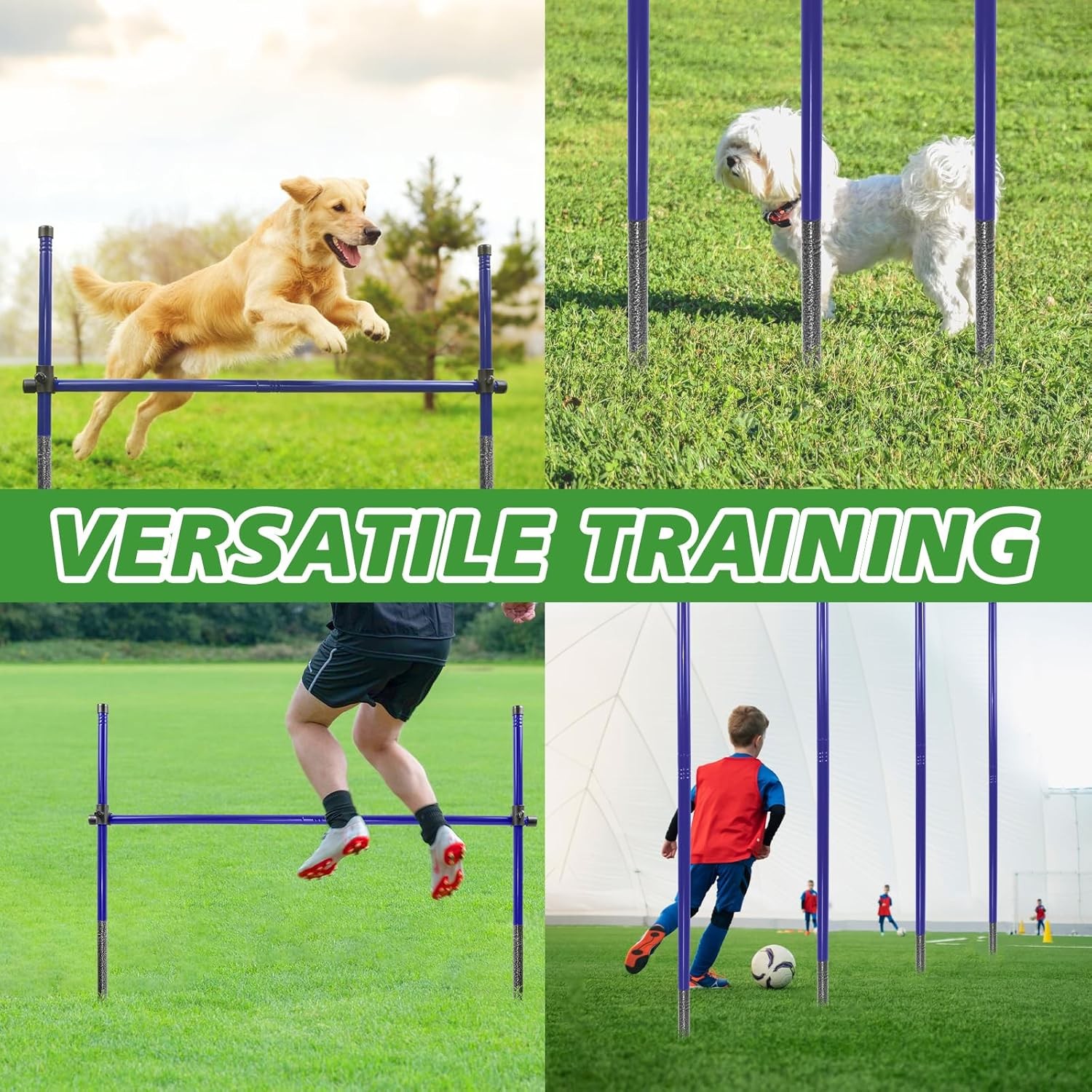 Dog Agility Course Backyard Set, Metal Dog Agility Training Equipment Adjustable