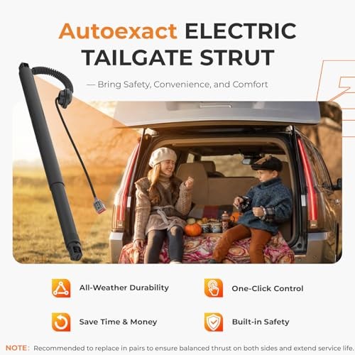 Power Liftgate Struts Fit for 2015-2020 For 2015-2020 TAHOE/SUBURBAN etc.