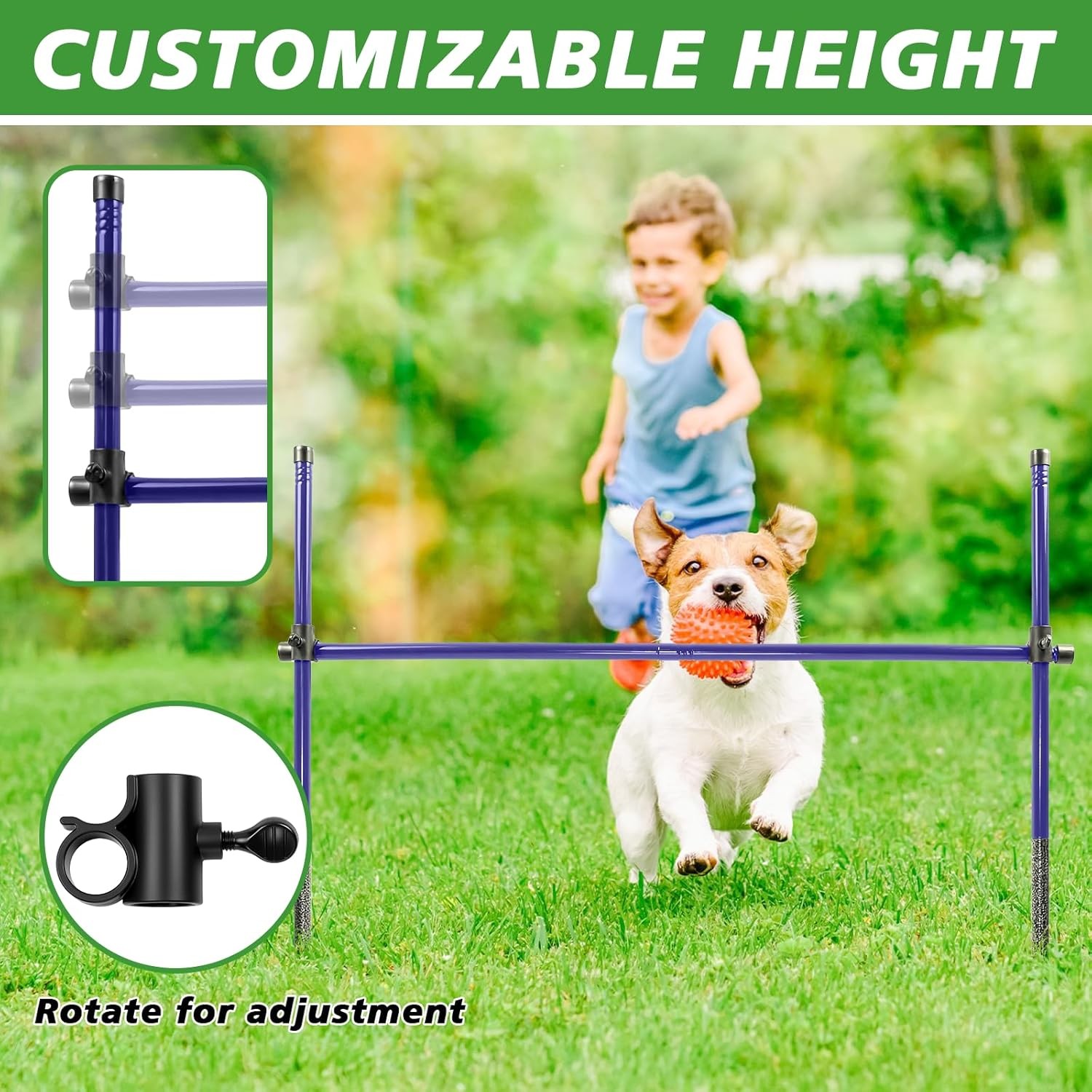 Dog Agility Course Backyard Set, Metal Dog Agility Training Equipment Adjustable