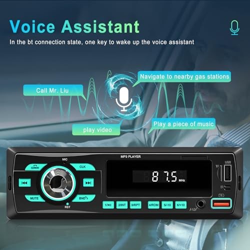 Car Radio Bluetooth Single DIN Car Stereo Audio, Car Audio with Dual P4