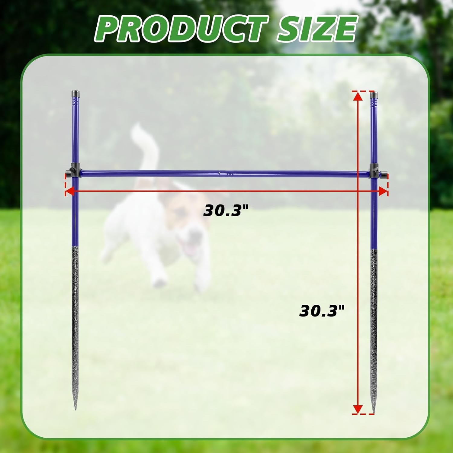 Dog Agility Course Backyard Set, Metal Dog Agility Training Equipment Adjustable
