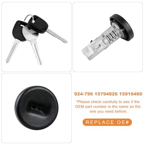 924-796 Ignition Lock Cylinder W/2 Chip keys With On-Board Programming For