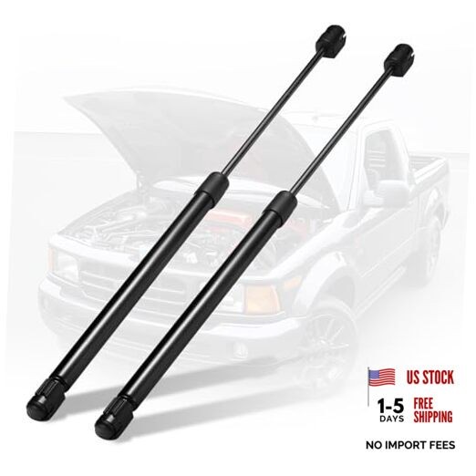 Rear Window Glass Lift Supports Gas Struts Compatible with Cadillac 4185