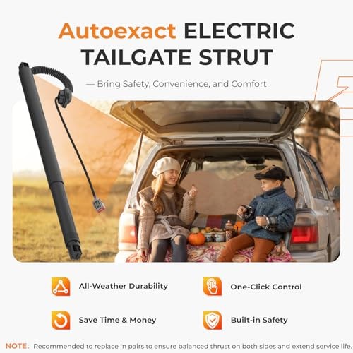 Rear Liftgate Struts Power Support Shock Fit For 2015-2020 TAHOE/SUBURBAN etc.
