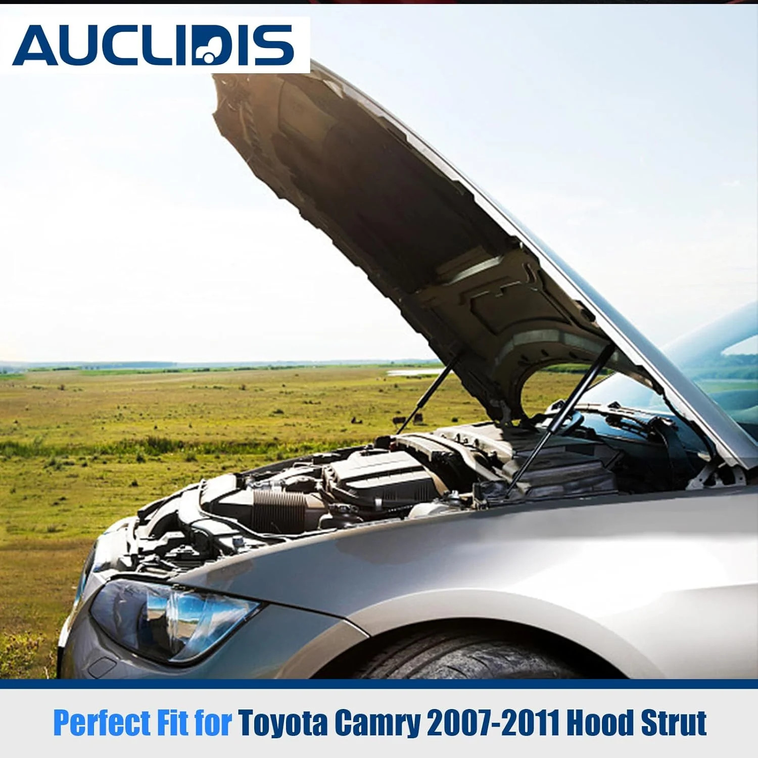 6333 Hood Strut Lift Support Compatible with 2007 2008 2009 2010 2011 Toyota Cam