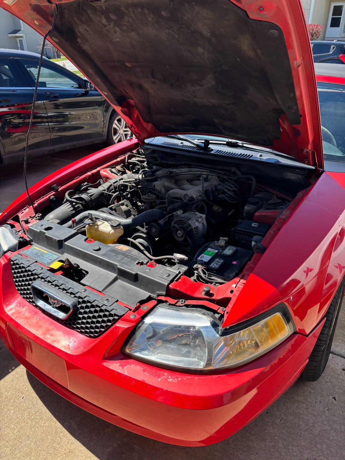 2000 FORD MUSTANG CONVERTIBLE FOR SALE