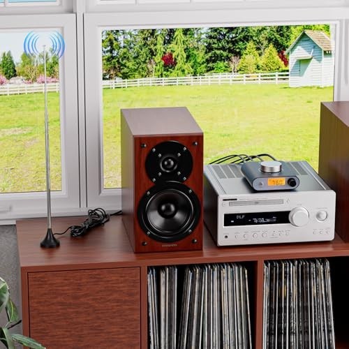 Professional FM Radio Receiver with Bluetooth & AUX, 33ft Adjustable Antenna