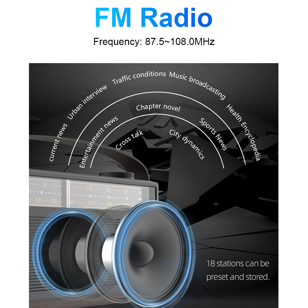 10.1″ Universal Car MP5 Player – Audio/Video, Family Rides & Vehicle Leisure Use