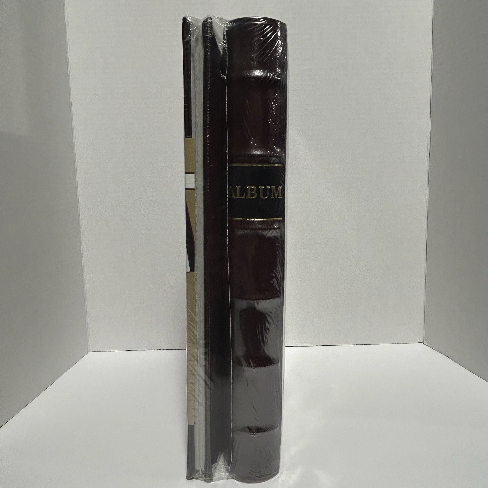 Pioneer Le Memo Bonded Leather Photo Album 2-Pack Holds 400 4×6 Photos