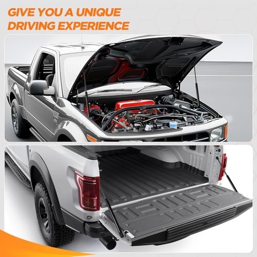 Rear Window Glass Lift Supports Gas Struts Compatible with Cadillac 4185